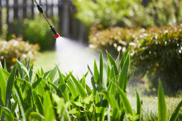 Tamper-Resistant Bait Stations for Rodents in Union Park