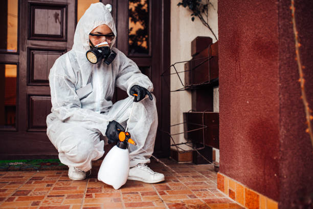 Attic and Crawl Space Rodent Treatment in Union Park
