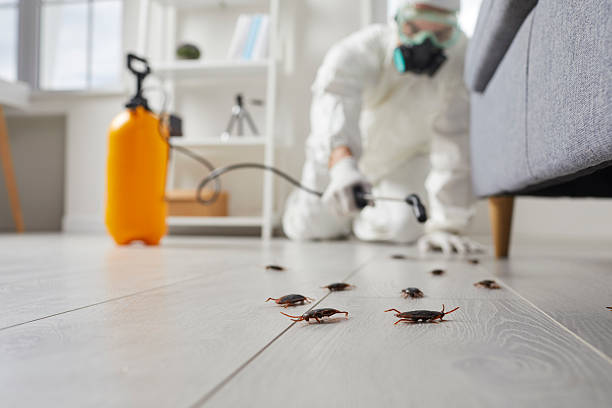 Commercial Rodent Management in Union Park